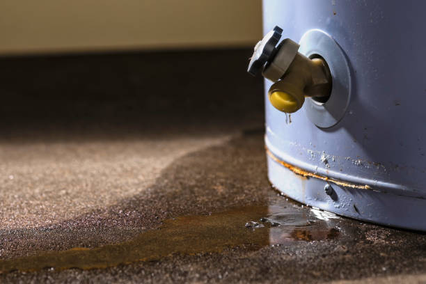 Best Water damage cleanup near me  in Evans, GA
