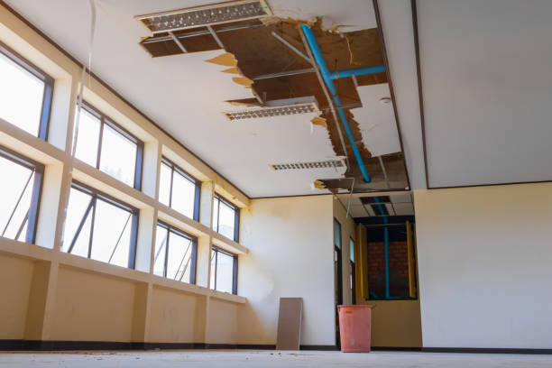 Best Water damage restoration near me  in Evans, GA