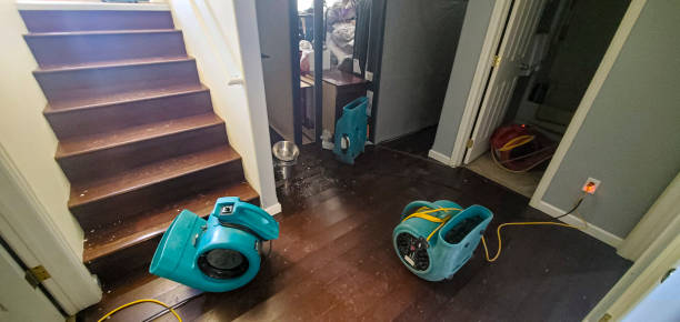 Best Water damage restoration near me  in Evans, GA