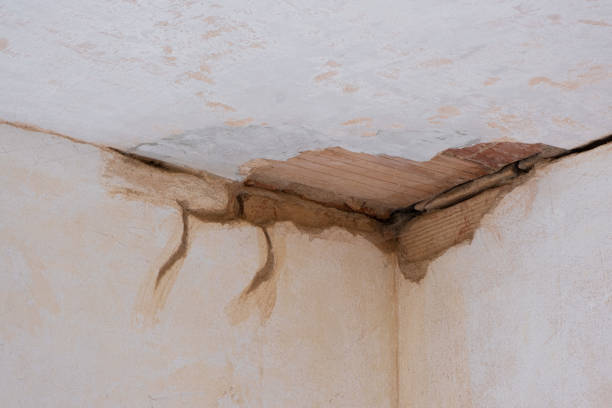 Best Flooded house restoration  in Evans, GA