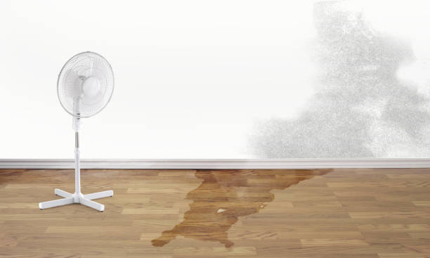 Best Residential water damage restoration  in Evans, GA
