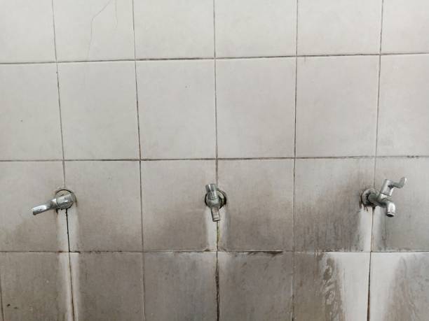 Best Ceiling water damage repair  in Evans, GA