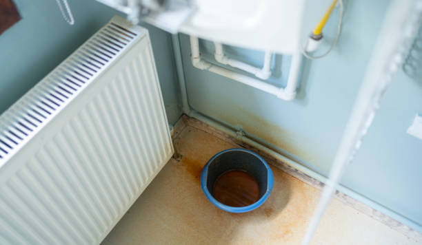 Best Water damage cleanup near me  in Evans, GA