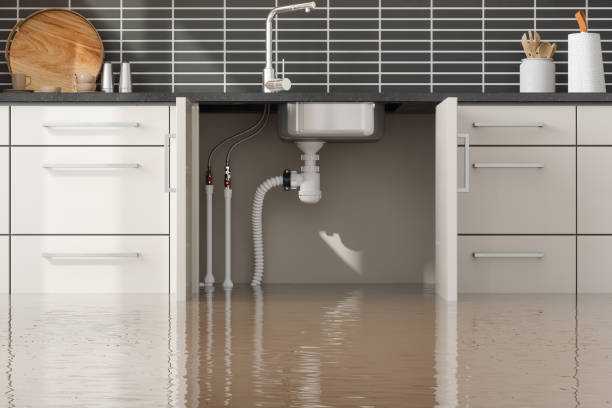 Best Flood damage cleanup  in Evans, GA