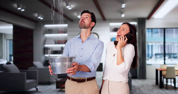 Best Professional water damage repair  in Evans, GA