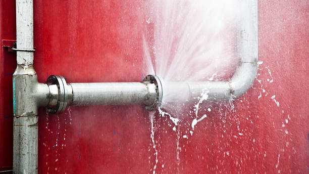 Best Water damage cleanup near me  in Evans, GA